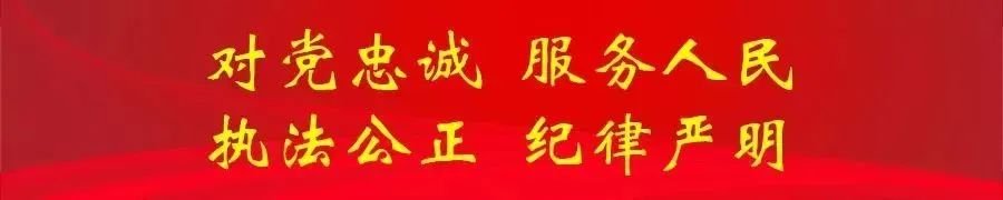 为什么篮球传奇的训练和发展理念值得借鉴_2